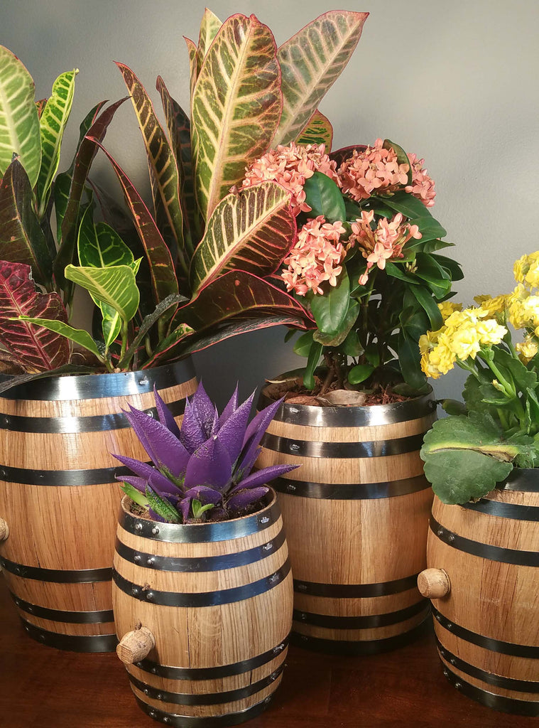 barrel wooden planter Small Whiskey Barrel Planters