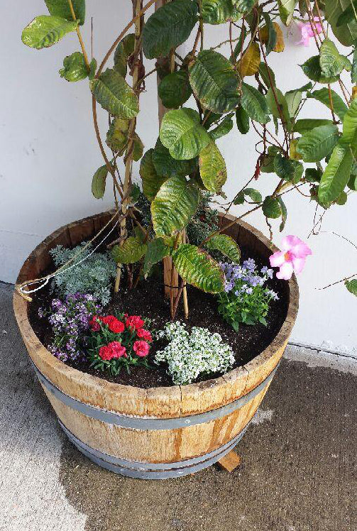 Rustic Wine Half Barrel Planters