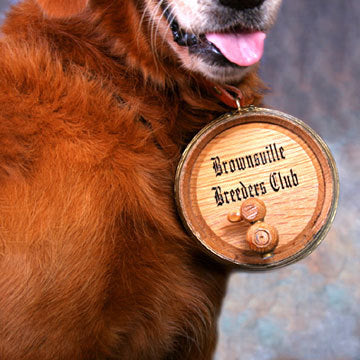 St Bernard Barrel - main